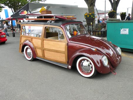 brown bug